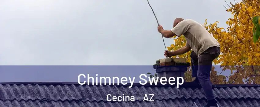Chimney Sweep Cecina - AZ