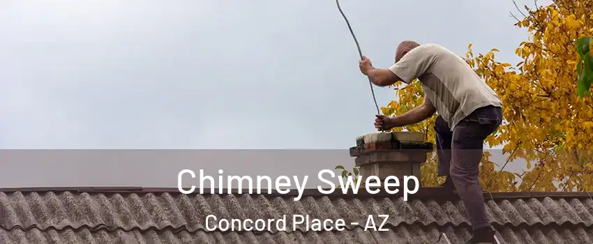 Chimney Sweep Concord Place - AZ