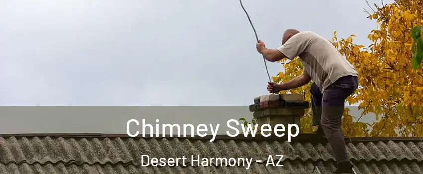 Chimney Sweep Desert Harmony - AZ