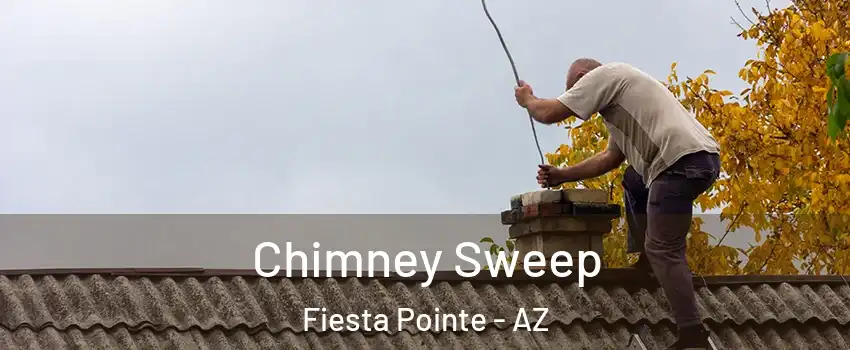 Chimney Sweep Fiesta Pointe - AZ