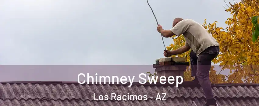 Chimney Sweep Los Racimos - AZ