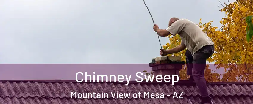Chimney Sweep Mountain View of Mesa - AZ