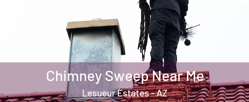 Chimney Sweep Near Me Lesueur Estates - AZ
