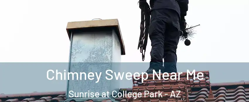 Chimney Sweep Near Me Sunrise at College Park - AZ