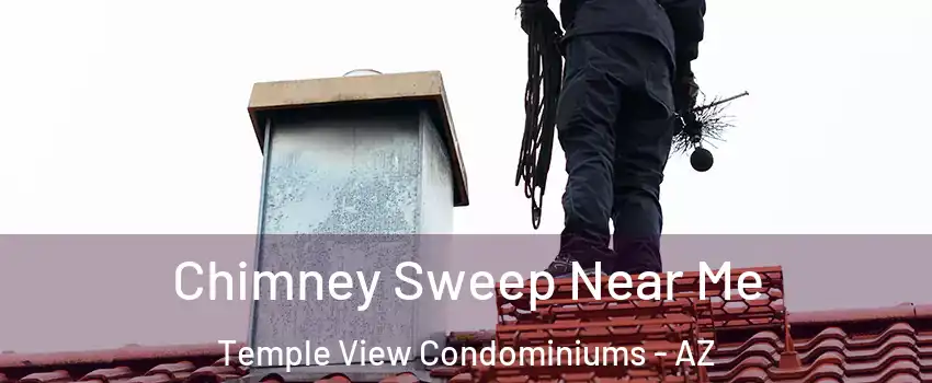 Chimney Sweep Near Me Temple View Condominiums - AZ