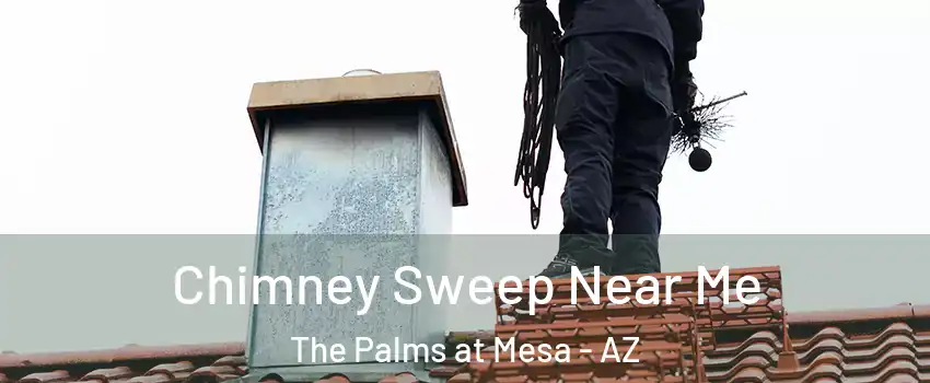 Chimney Sweep Near Me The Palms at Mesa - AZ