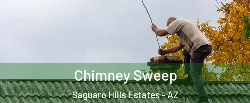 Chimney Sweep Saguaro Hills Estates - AZ