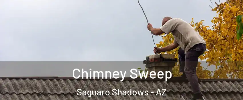Chimney Sweep Saguaro Shadows - AZ