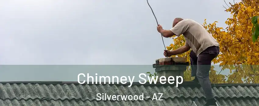 Chimney Sweep Silverwood - AZ