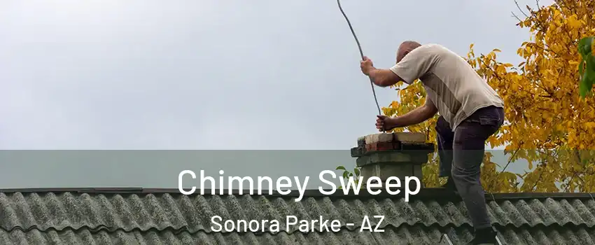 Chimney Sweep Sonora Parke - AZ
