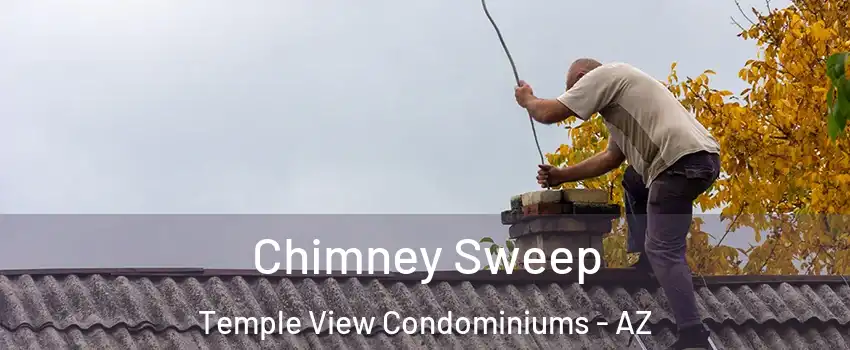 Chimney Sweep Temple View Condominiums - AZ