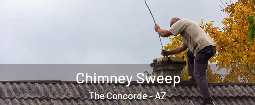 Chimney Sweep The Concorde - AZ