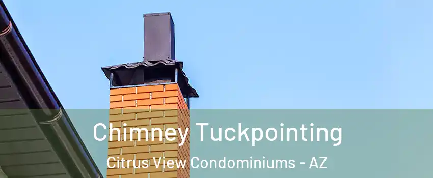 Chimney Tuckpointing Citrus View Condominiums - AZ