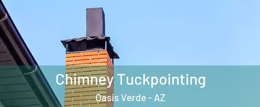 Chimney Tuckpointing Oasis Verde - AZ