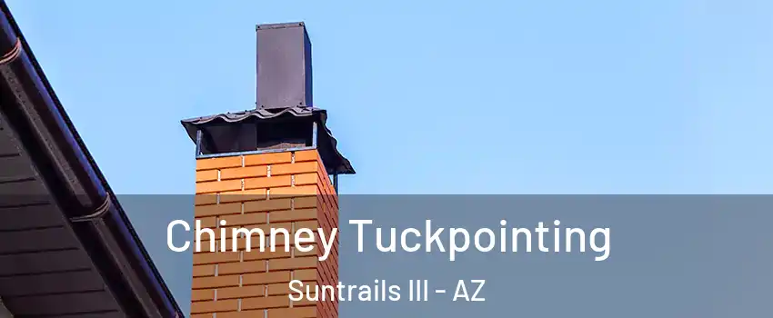 Chimney Tuckpointing Suntrails III - AZ