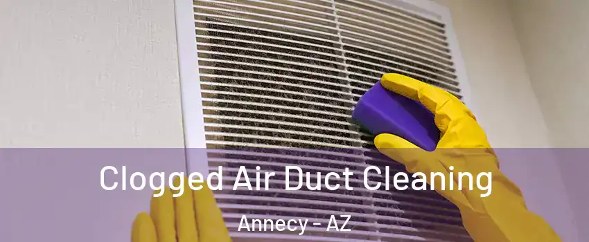 Clogged Air Duct Cleaning Annecy - AZ