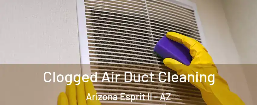 Clogged Air Duct Cleaning Arizona Esprit II - AZ