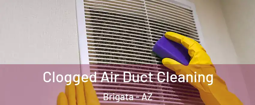 Clogged Air Duct Cleaning Brigata - AZ
