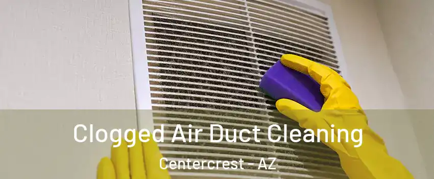 Clogged Air Duct Cleaning Centercrest - AZ
