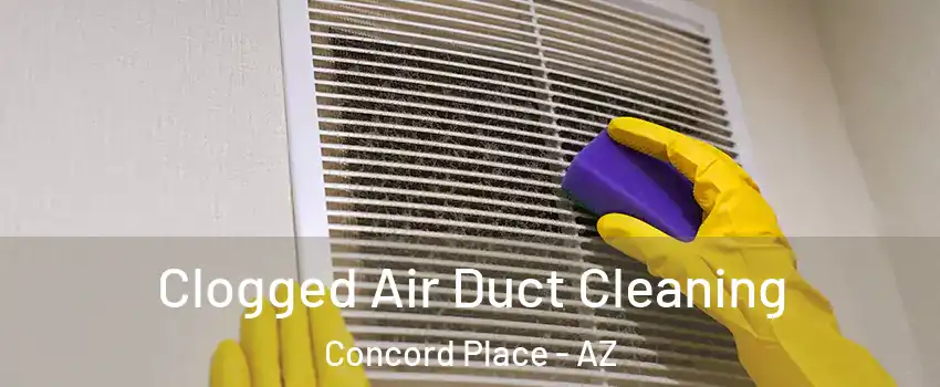Clogged Air Duct Cleaning Concord Place - AZ