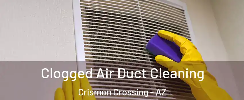 Clogged Air Duct Cleaning Crismon Crossing - AZ