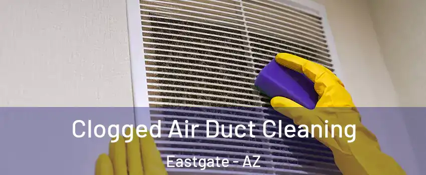Clogged Air Duct Cleaning Eastgate - AZ