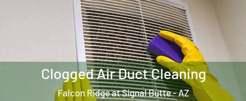 Clogged Air Duct Cleaning Falcon Ridge at Signal Butte - AZ