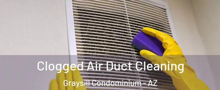 Clogged Air Duct Cleaning Graysill Condominium - AZ