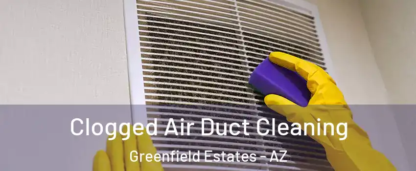 Clogged Air Duct Cleaning Greenfield Estates - AZ