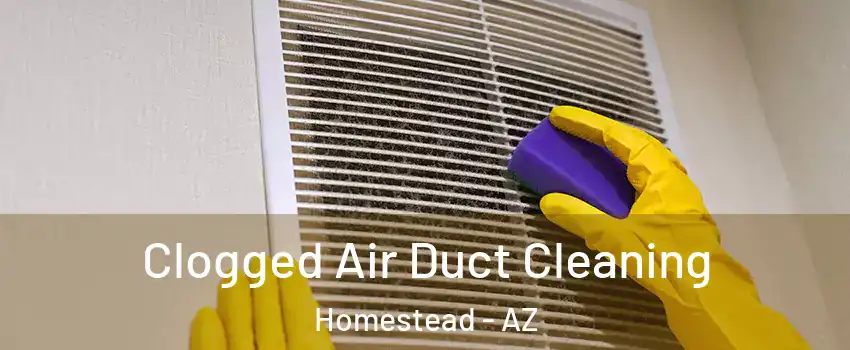 Clogged Air Duct Cleaning Homestead - AZ