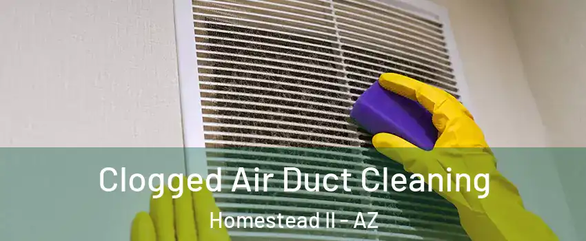 Clogged Air Duct Cleaning Homestead II - AZ