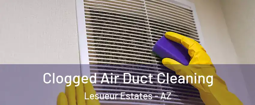 Clogged Air Duct Cleaning Lesueur Estates - AZ