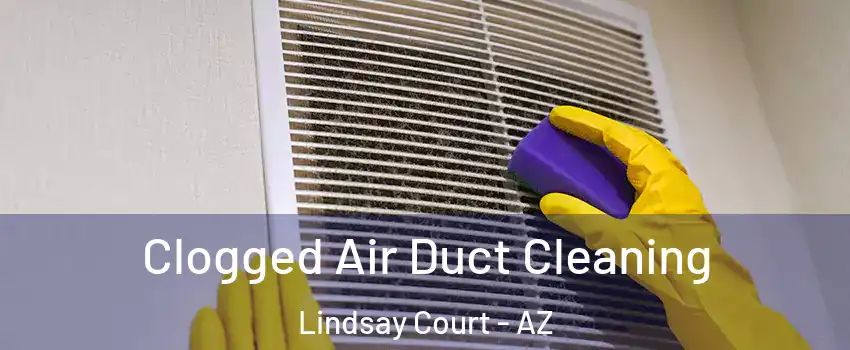 Clogged Air Duct Cleaning Lindsay Court - AZ