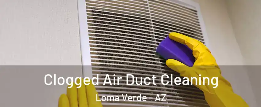 Clogged Air Duct Cleaning Loma Verde - AZ