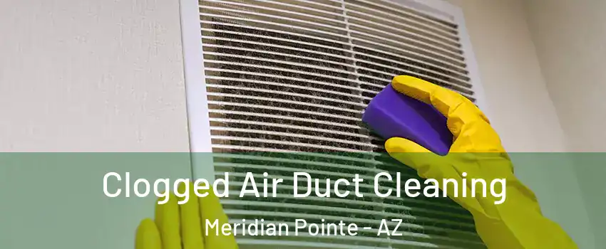 Clogged Air Duct Cleaning Meridian Pointe - AZ