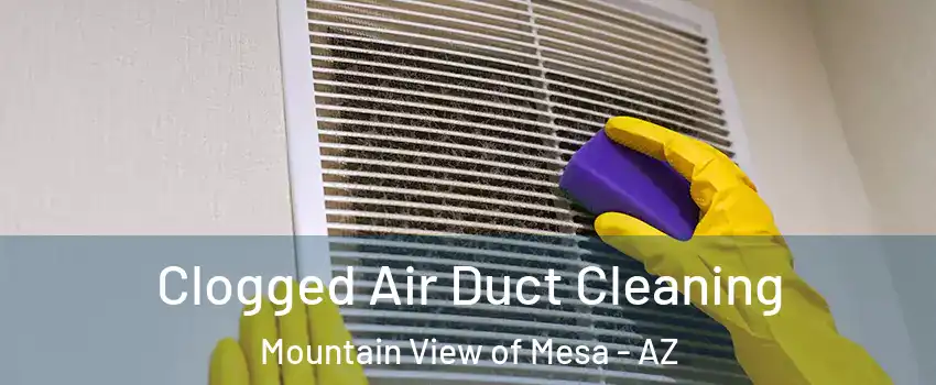 Clogged Air Duct Cleaning Mountain View of Mesa - AZ