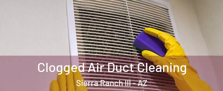 Clogged Air Duct Cleaning Sierra Ranch III - AZ
