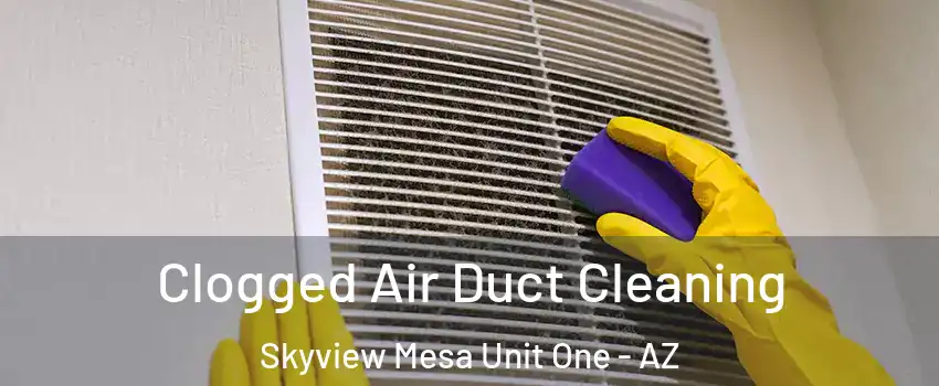 Clogged Air Duct Cleaning Skyview Mesa Unit One - AZ