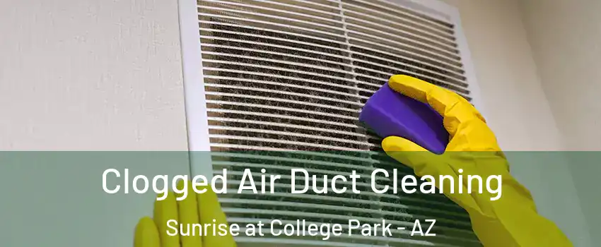 Clogged Air Duct Cleaning Sunrise at College Park - AZ