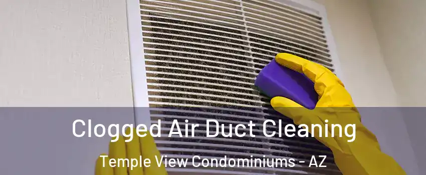 Clogged Air Duct Cleaning Temple View Condominiums - AZ