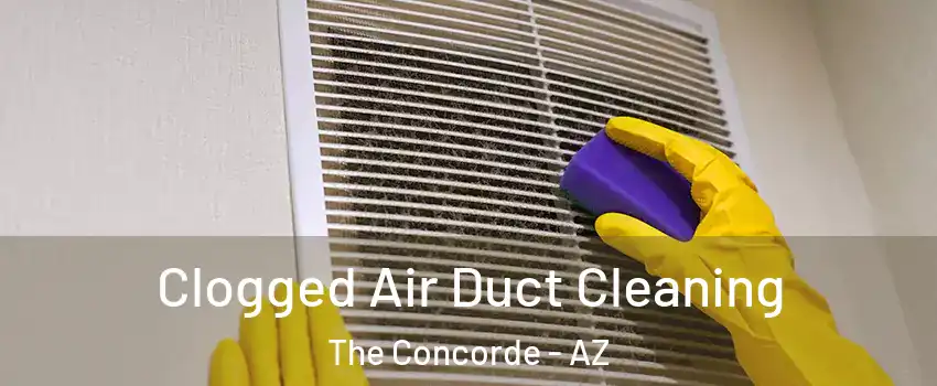 Clogged Air Duct Cleaning The Concorde - AZ