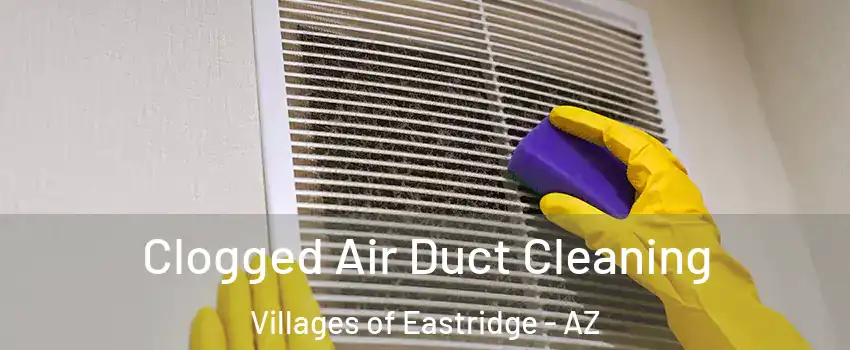 Clogged Air Duct Cleaning Villages of Eastridge - AZ