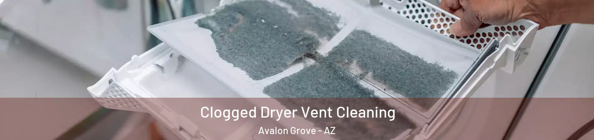 Clogged Dryer Vent Cleaning Avalon Grove - AZ
