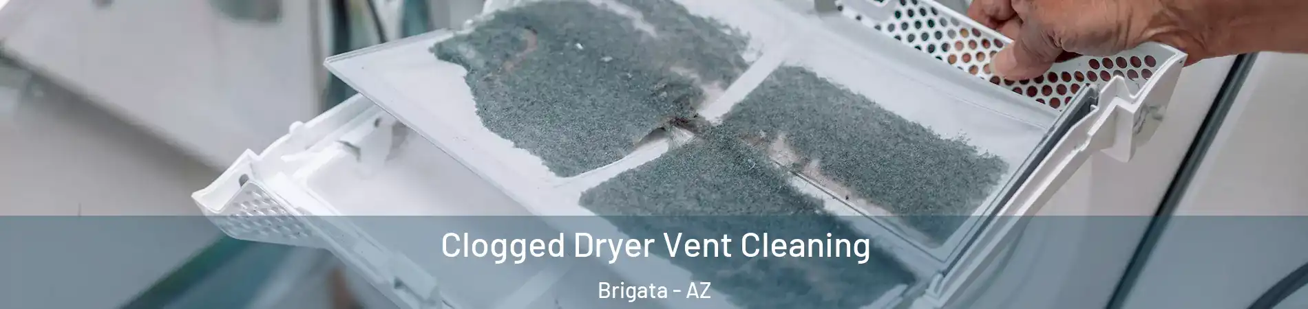 Clogged Dryer Vent Cleaning Brigata - AZ
