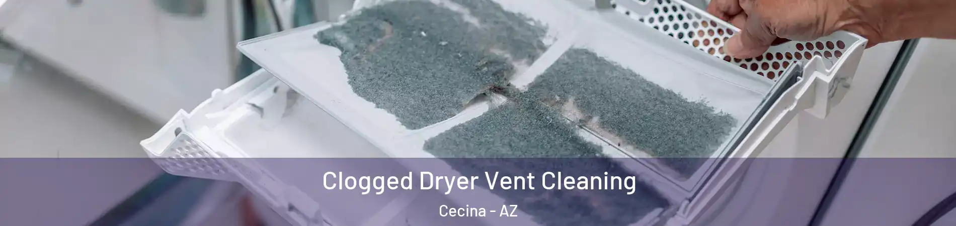 Clogged Dryer Vent Cleaning Cecina - AZ