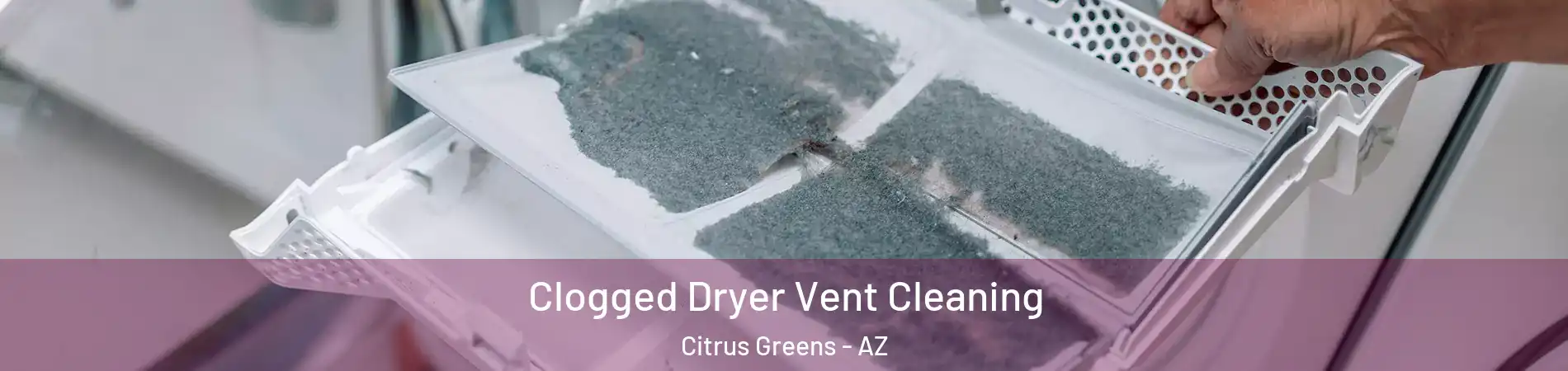 Clogged Dryer Vent Cleaning Citrus Greens - AZ