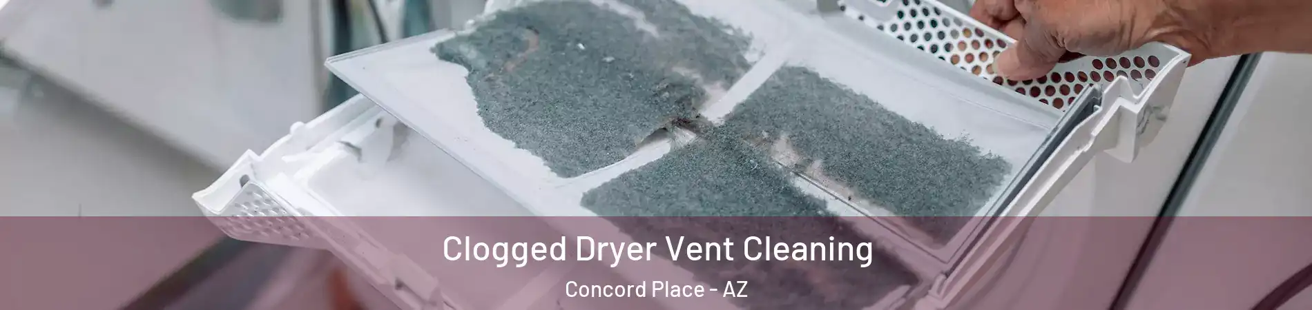 Clogged Dryer Vent Cleaning Concord Place - AZ