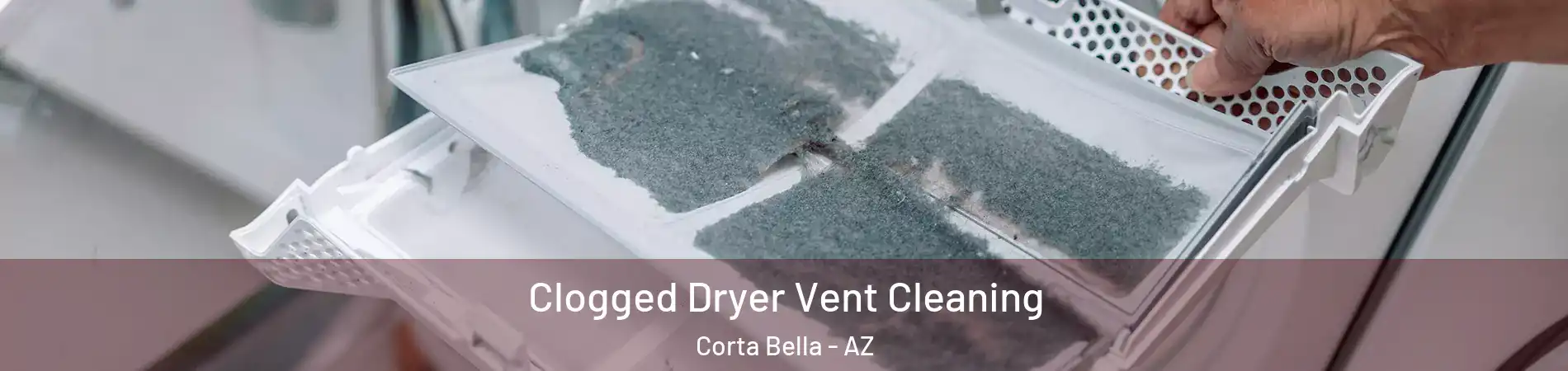 Clogged Dryer Vent Cleaning Corta Bella - AZ