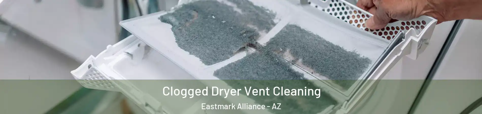 Clogged Dryer Vent Cleaning Eastmark Alliance - AZ