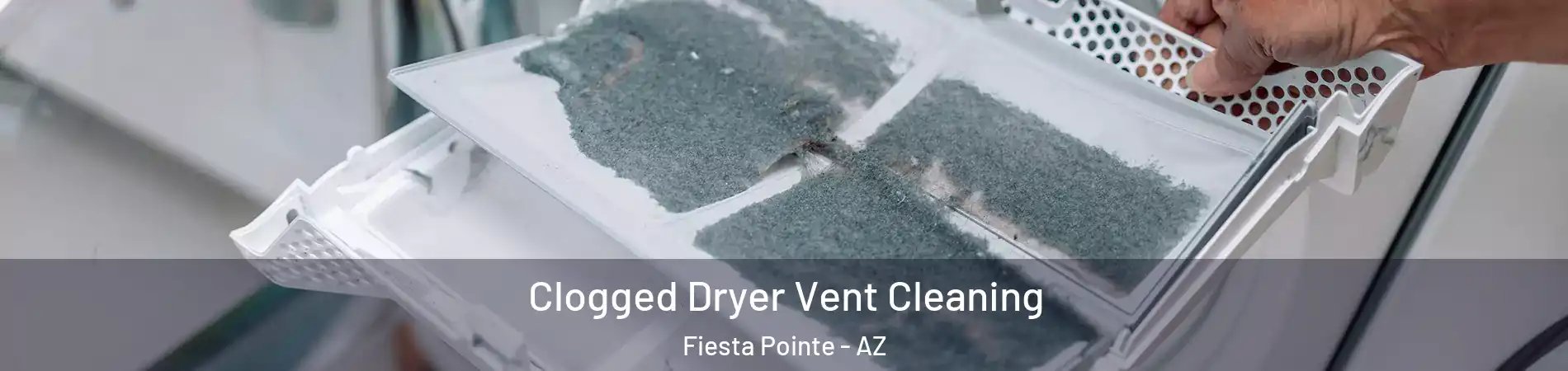 Clogged Dryer Vent Cleaning Fiesta Pointe - AZ